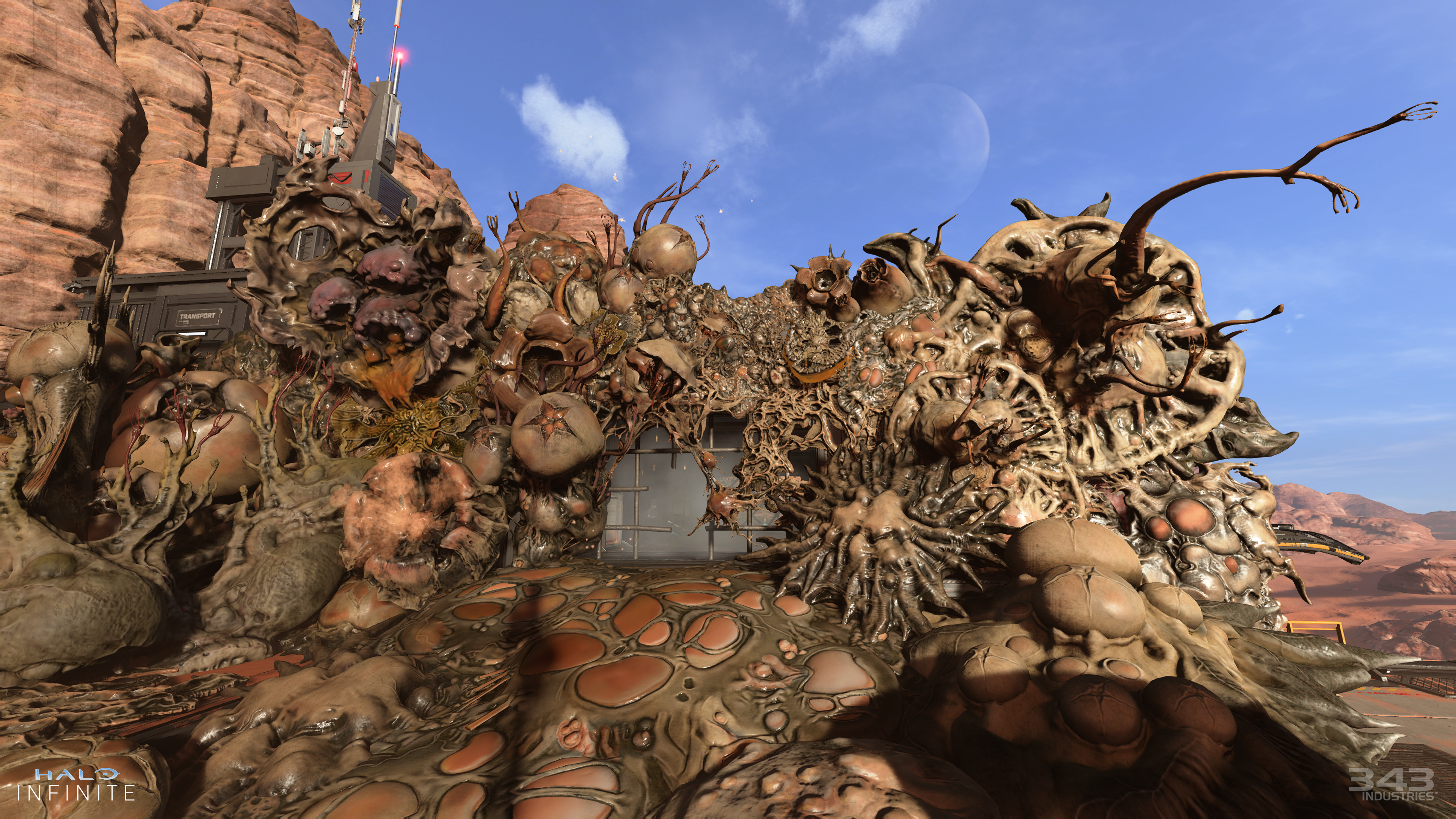 Screenshot of various Flood objects placed on the multiplayer map Oasis.
