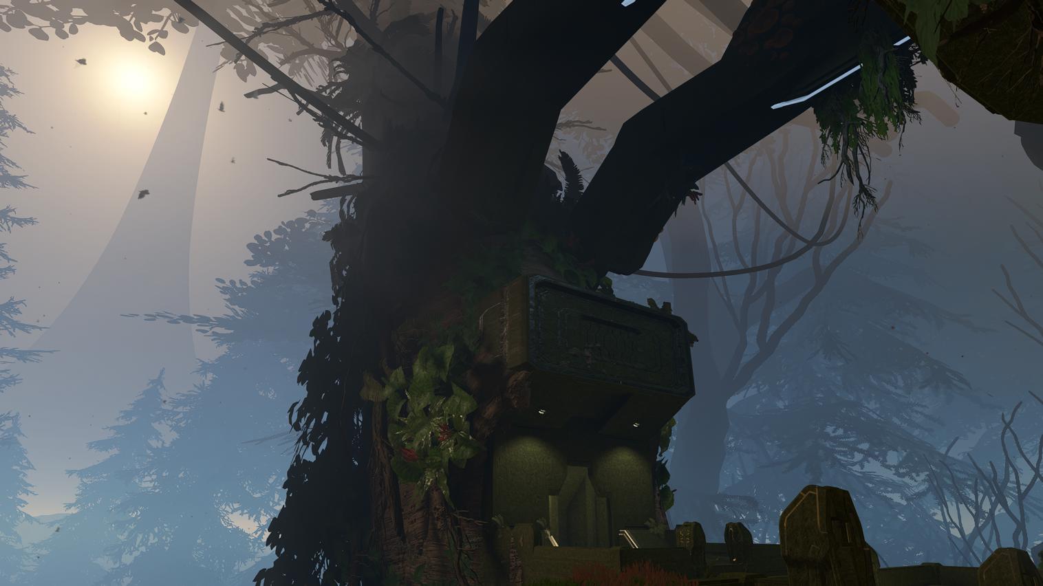 Canopy.jpg